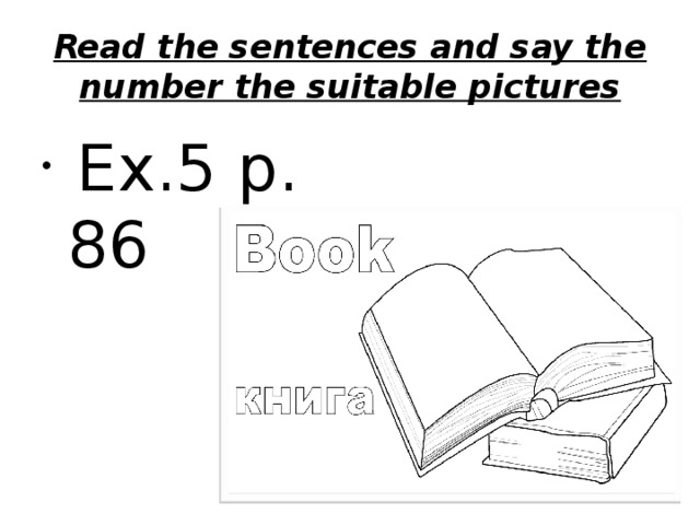 Read the sentences and say the number the suitable pictures