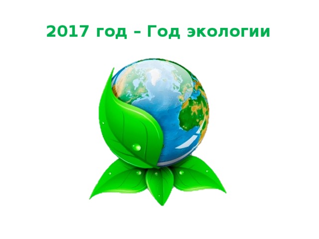 2017 год – Год экологии