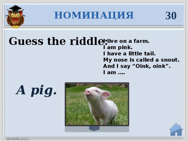 30 НОМИНАЦИЯ Guess the riddle: I live on a farm. I am pink. I have a little tail. My nose is called a snout. And I say “Oink, oink”. I am ….  A pig.