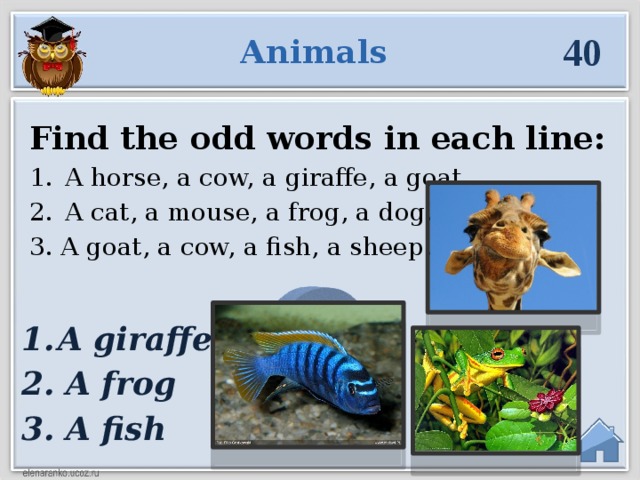 40 Animals Find the odd words in each line: A horse, a cow, a giraffe, a goat. A cat, a mouse, a frog, a dog. 3. A goat, a cow, a fish, a sheep. A giraffe 2. A frog 3. A fish