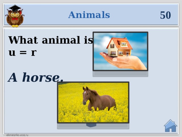 50 Animals What animal is? u = r A horse.