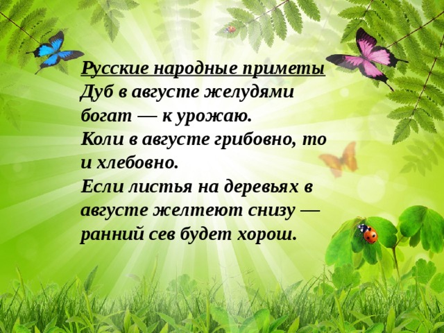 Русские народные приметы Дуб в августе желудями богат — к урожаю. Коли в августе грибовно, то и хлебовно. Если листья на деревьях в августе желтеют снизу — ранний сев будет хорош.