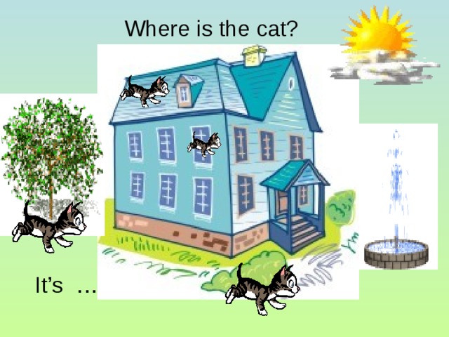 Where is the cat?  It’s …