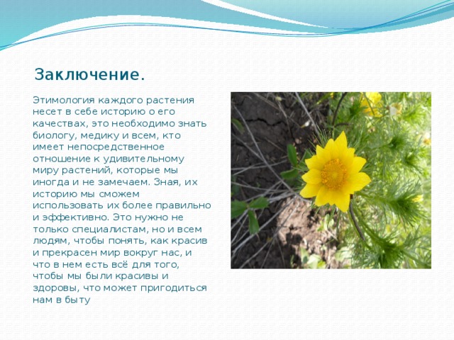 Людмила и анатолий собрали и подготовили для гербария образцы растений для каждого растения алоэ