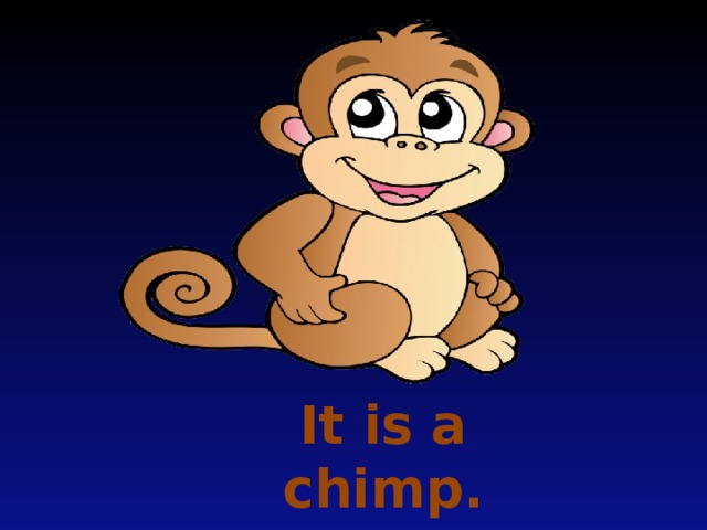 It is a chimp.