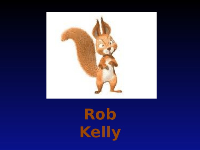 Rob Kelly