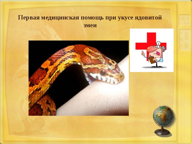 Первая медицинская помощь при укусе ядовитой змеи