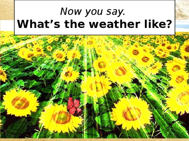 Now you say.  What’s the weather like?