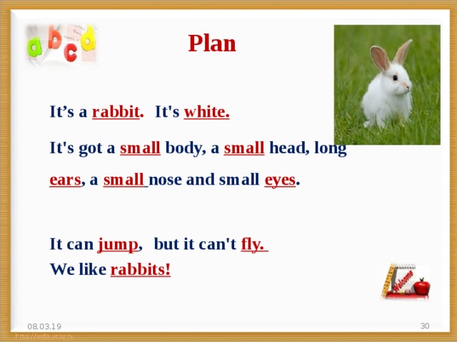Plan It’s a rabbit .  It's white.  It's got a small body, a small head, long ears , a small  nose and small eyes . It can jump ,  but it can't fly. We like rabbits! 08.03.19