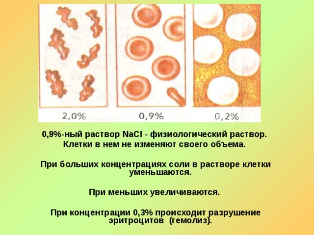 0,9%-ный раствор NaCI - физиологический раствор. Клетки в нем не изменяют своего объема.  При больших концентрациях соли в растворе клетки уменьшаются.  При меньших увеличиваются.  При концентрации 0,3% происходит разрушение эритроцитов (гемолиз).