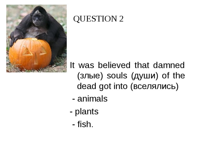 QUESTION 2 It was believed that damned (злые) souls (души) of the dead got into (вселялись)  - animals - plants  - fish.