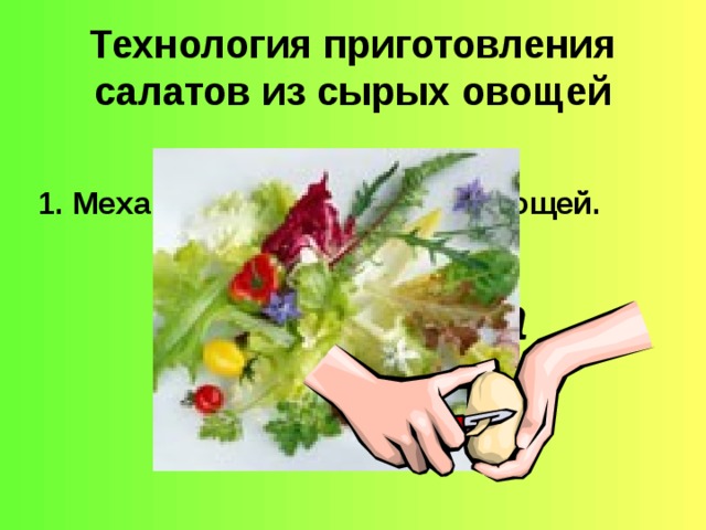Технология приготовления салатов из сырых овощей   1. Механическая обработка овощей. очистка сортировка мойка промывка нарезка