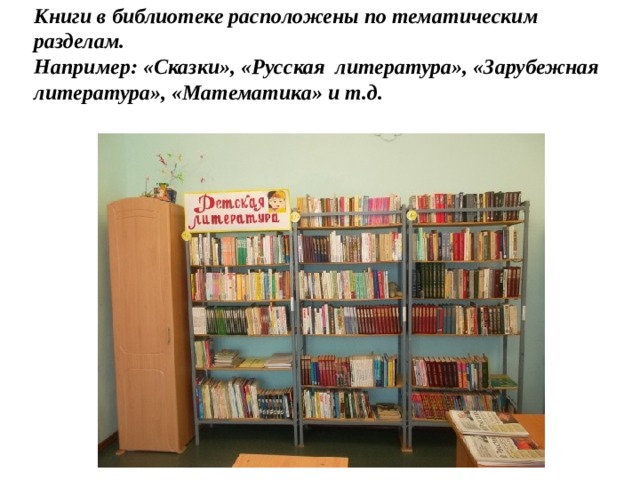 Книги в библиотеке расположены по тематическим разделам.  Например: «Сказки», «Русская литература», «Зарубежная литература», «Математика» и т.д.