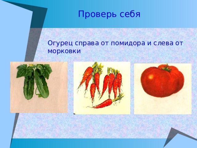 Проверь себя Огурец справа от помидора и слева от морковки