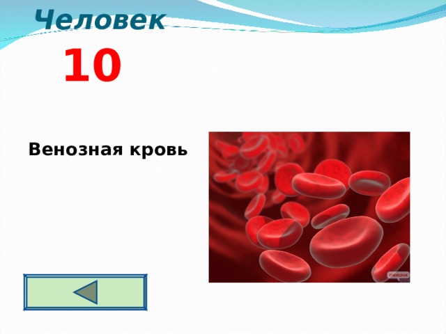 Человек  10  Венозная кровь