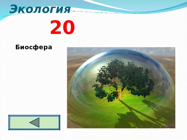 Экология 2 0  Биосфера