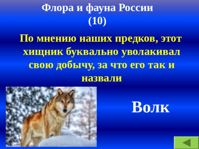 Флора и фауна России  (10)  По мнению наших предков, этот хищник буквально уволакивал свою добычу, за что его так и назвали  Волк