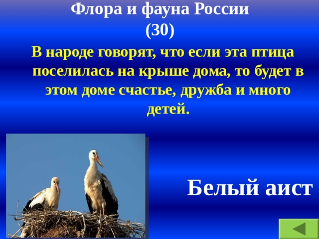 Флора и фауна России  (30) В народе говорят, что если эта птица поселилась на крыше дома, то будет в этом доме счастье, дружба и много детей. Белый аист