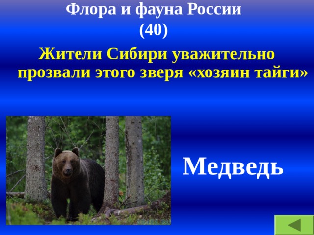 Флора и фауна России  (40) Жители Сибири уважительно прозвали этого зверя «хозяин тайги»  Медведь