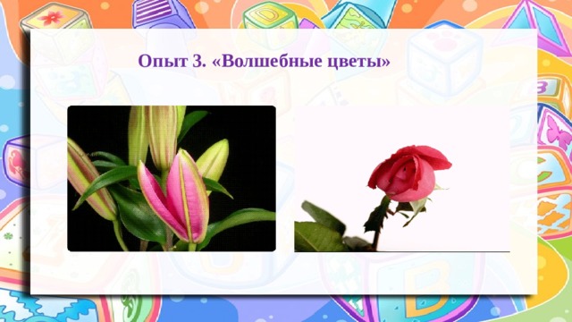 Опыт 3. «Волшебные цветы»