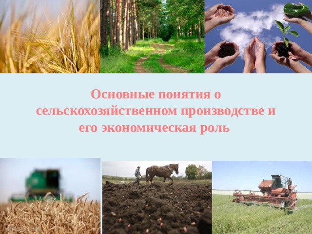 Основные понятия о сельскохозяйственном производстве и его экономическая роль