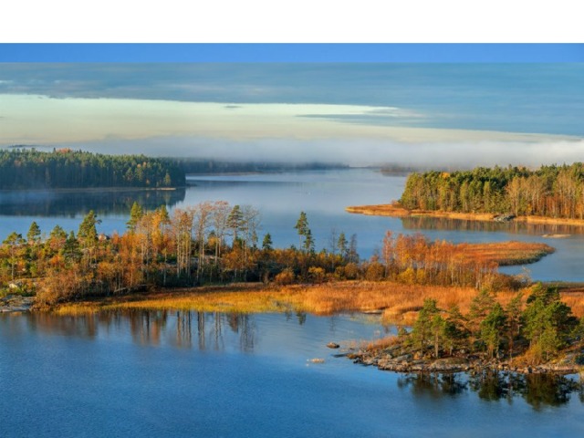 Озеро тигода новгородская область фото