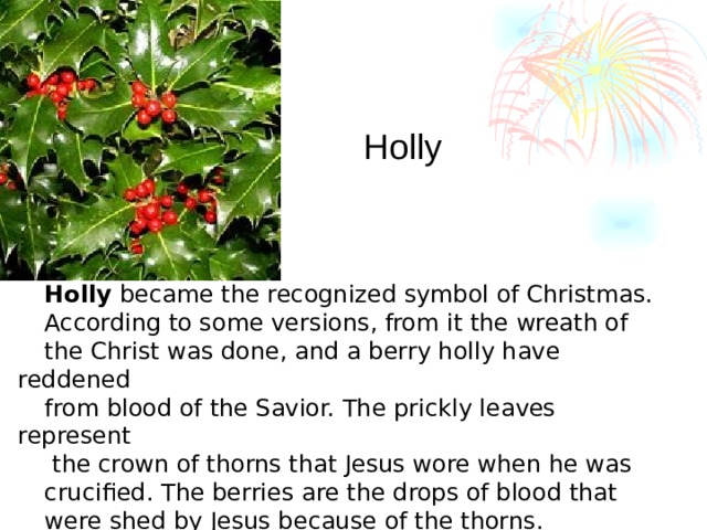Holly Holly became the recognized symbol of Christmas. According to some versions, from it the wreath of the Christ was done, and a berry holly have reddened from blood of the Savior. The prickly leaves represent  the crown of thorns that Jesus wore when he was crucified. The berries are the drops of blood that were shed by Jesus because of the thorns.