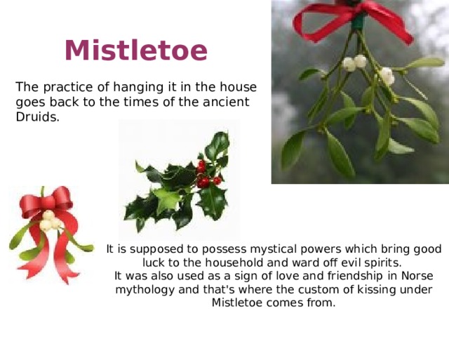 Mistletoe The practice of hanging it in the house goes back to the times of the ancient Druids. It is supposed to possess mystical powers which bring good luck to the household and ward off evil spirits. It was also used as a sign of love and friendship in Norse mythology and that's where the custom of kissing under Mistletoe comes from.