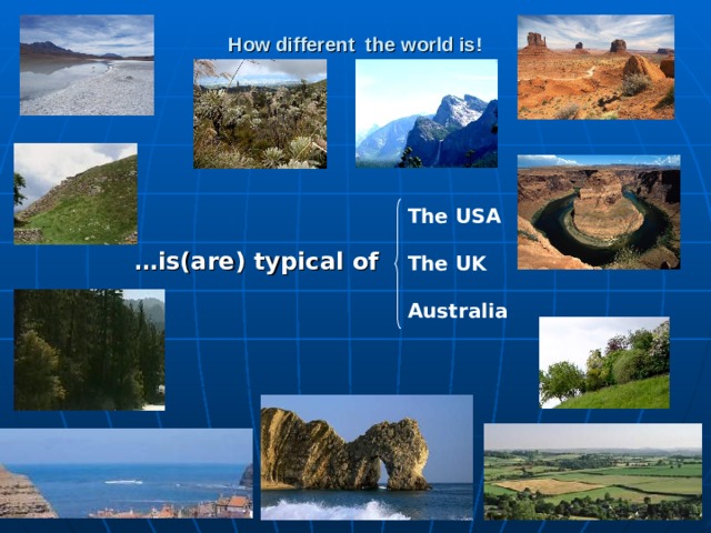 How different the world is! The USA The UK Australia   … is(are) typical of
