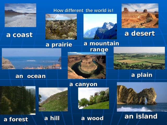 How different the world is! a desert a coast a mountain range a prairie a plain an ocean a canyon an island a hill a wood a forest