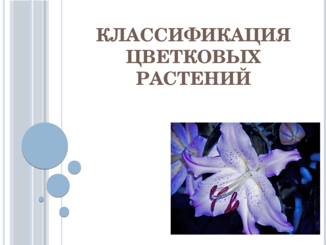 Классификация цветковых растений