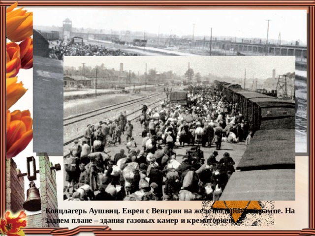 Концлагерь Аушвиц. Евреи с Венгрии на железнодорожной рампе. На заднем плане – здания газовых камер и крематориев.