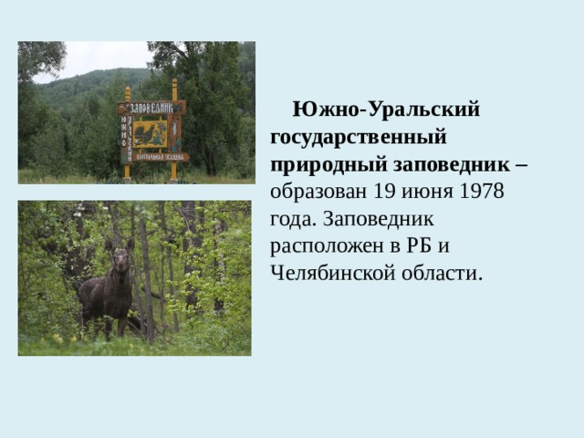 Южно-Уральский государственный природный заповедник – образован 19 июня 1978 года. Заповедник расположен в РБ и Челябинской области.