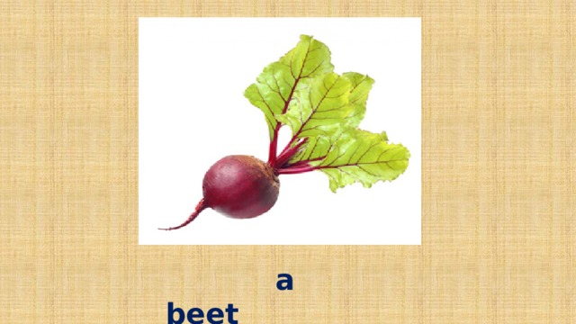a beet
