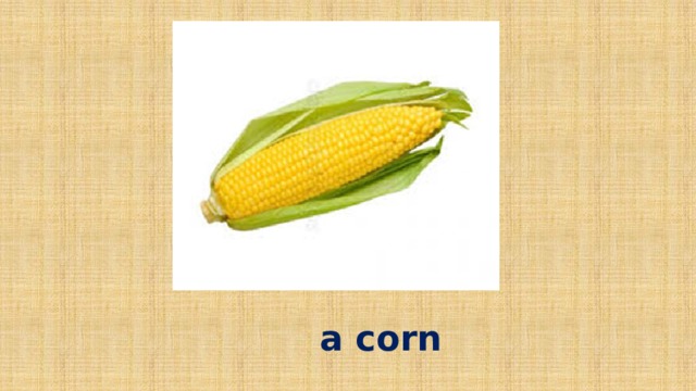 a corn