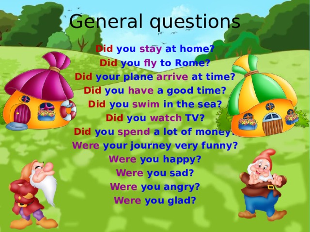 General questions Did you stay at home? Did you fly to Rome? Did your plane arrive at time? Did you have a good time? Did you swim in the sea? Did you watch TV? Did you spend a lot of money? Were your journey very funny? Were you happy? Were you sad? Were you angry? Were you glad?