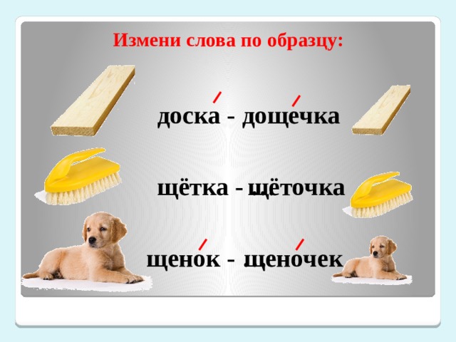 Звуковая схема слова собака