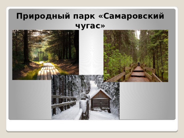 Природный парк «Самаровский чугас»