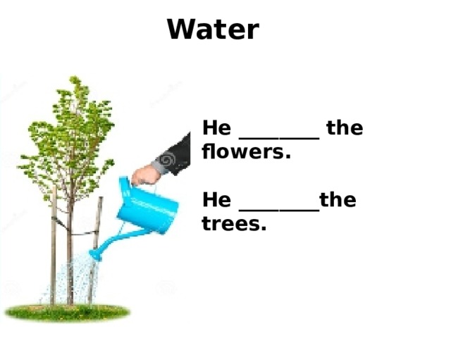 Water He ________ the flowers.  He ________the trees.