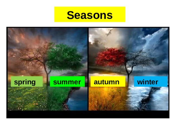 Seasons  winter  autumn  spring  summer
