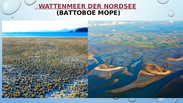 Wattenmeer der Nordsee  (Ваттовое море)