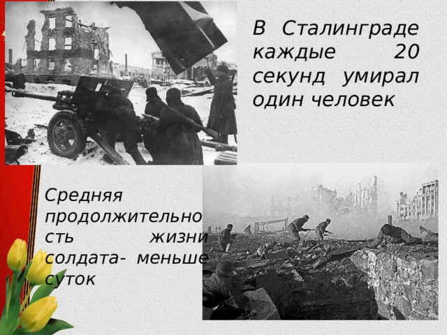 В Сталинграде каждые 20 секунд умирал один человек Средняя продолжительность жизни солдата- меньше суток