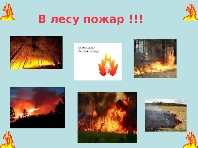 Картинки для детей пожар в лесу причины