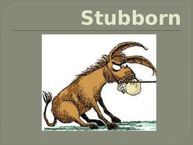 Stubborn.