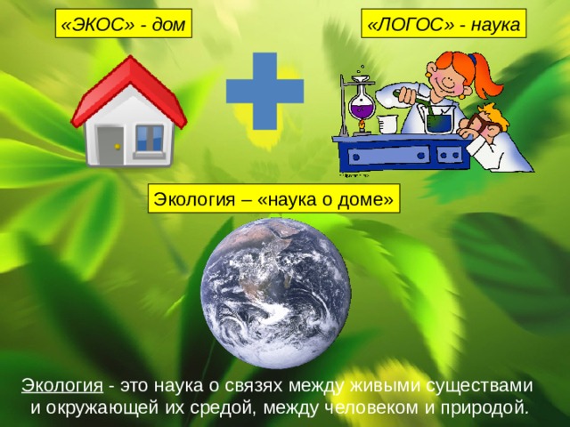 «ЭКОС» - дом «ЛОГОС» - наука Экология – «наука о доме» Экология - это наука о связях между живыми существами и окружающей их средой, между человеком и природой .
