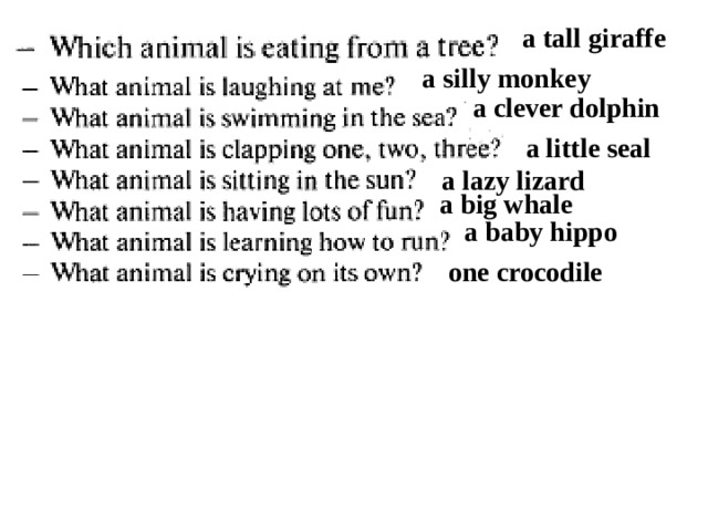 a tall giraffe a silly monkey a clever dolphin a little seal a lazy lizard a big whale a baby hippo one crocodile