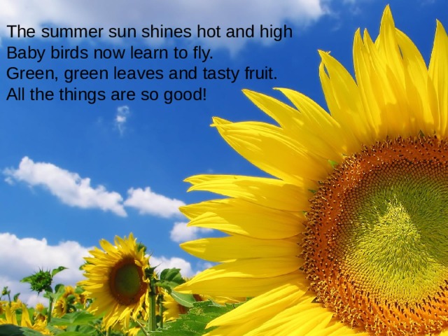 The summer sun shines hot and high Baby birds now learn to fly. Green, green leaves and tasty fruit. All the things are so good!
