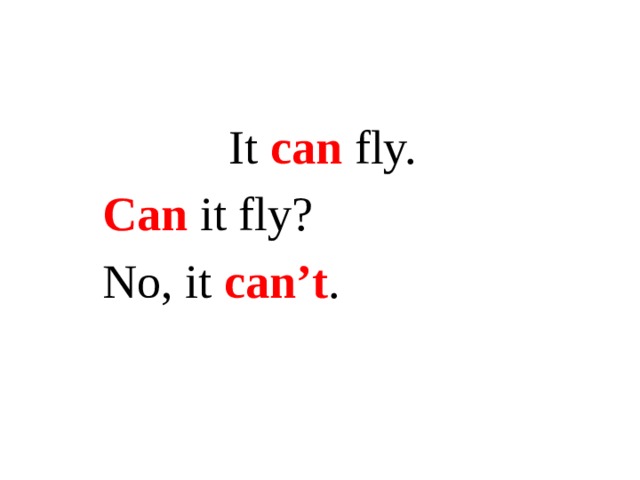 It can fly.   Can it fly?   No, it can’t .