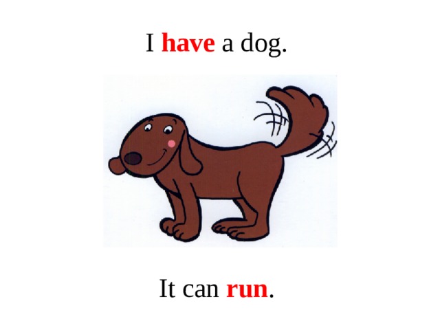 I have a dog. It can run .