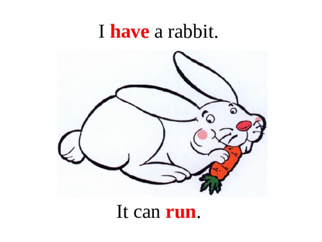 I have a rabbit. It can run .